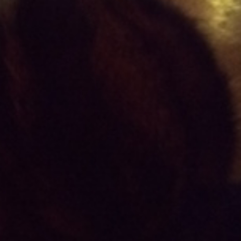 Fur hat